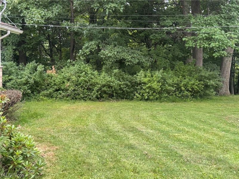 25853 Euclid Chagrin Parkway, Richmond Heights, OH 44143 Photo 23
