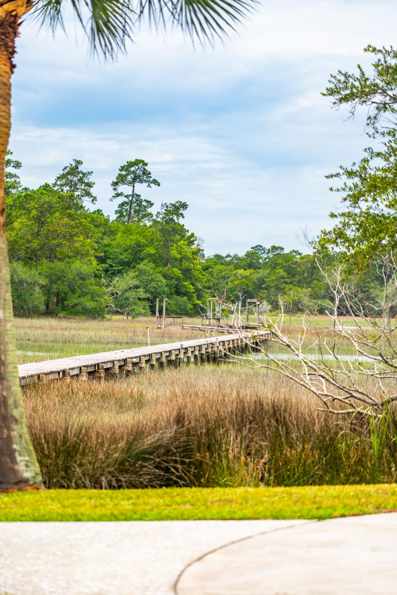 5038 Stono Plantation Drive Photo 80