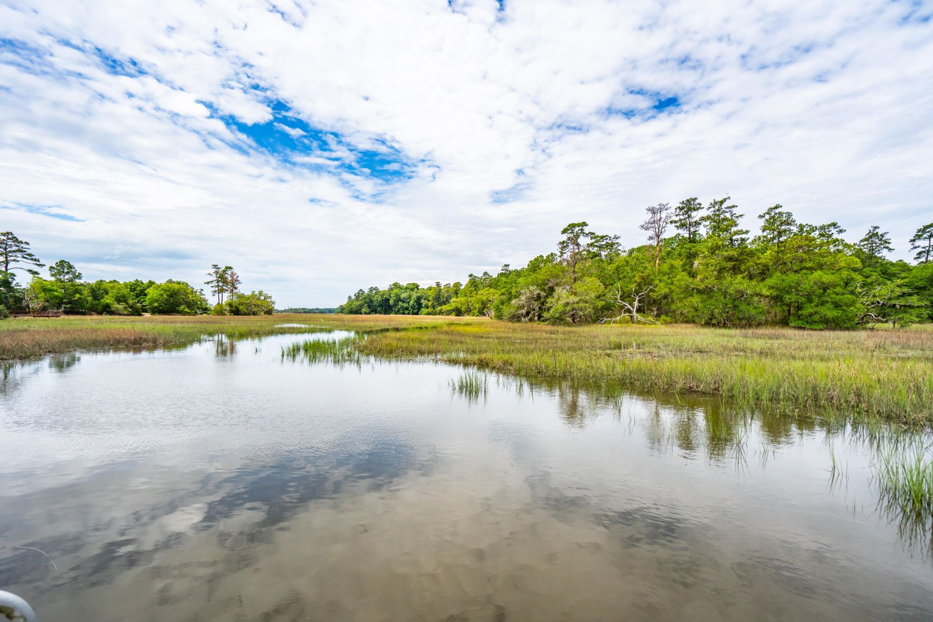 5038 Stono Plantation Drive Photo 98