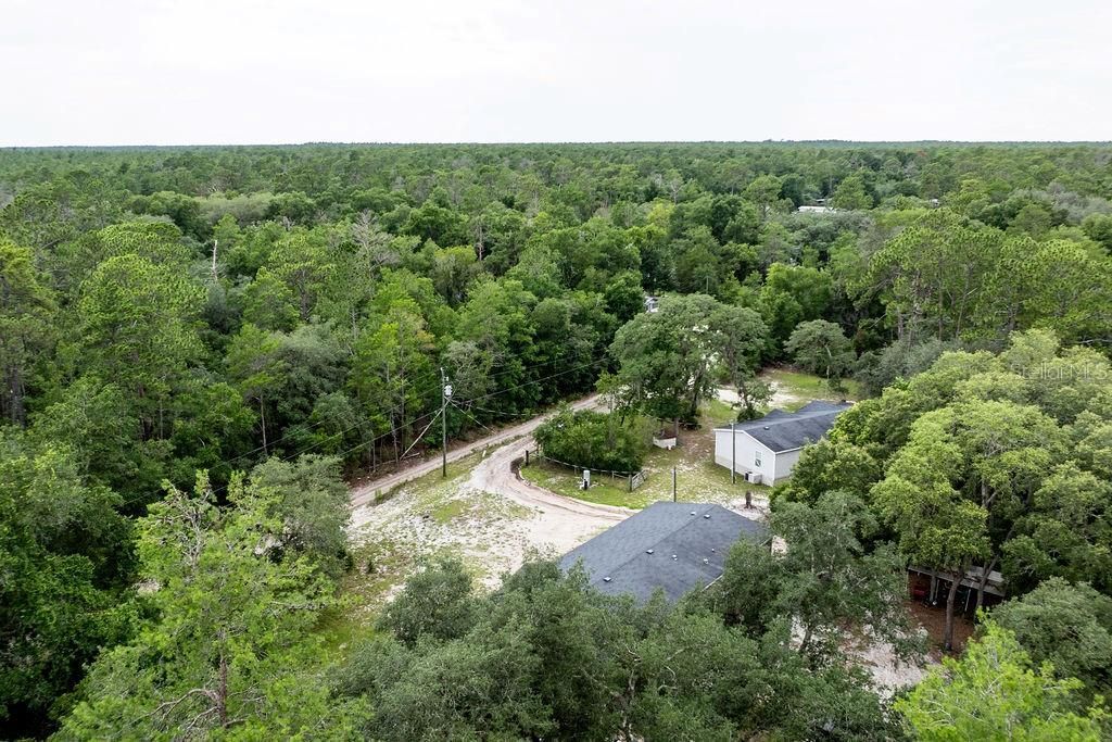 24821 Old Deer Road, Paisley, FL 32767 Photo