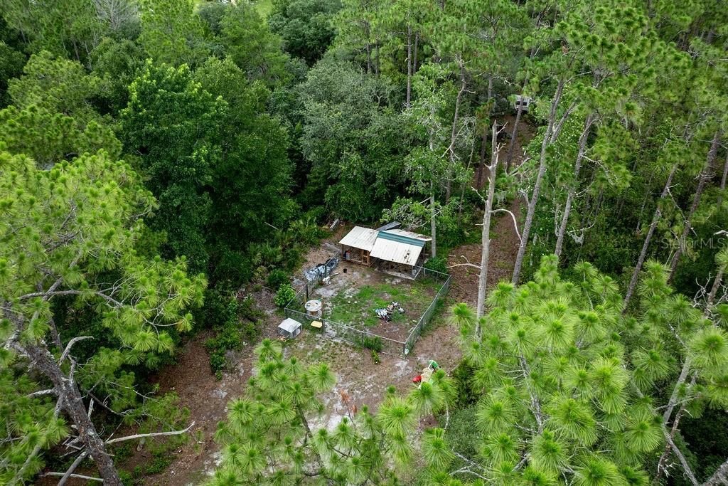 24821 Old Deer Road, Paisley, FL 32767 Photo