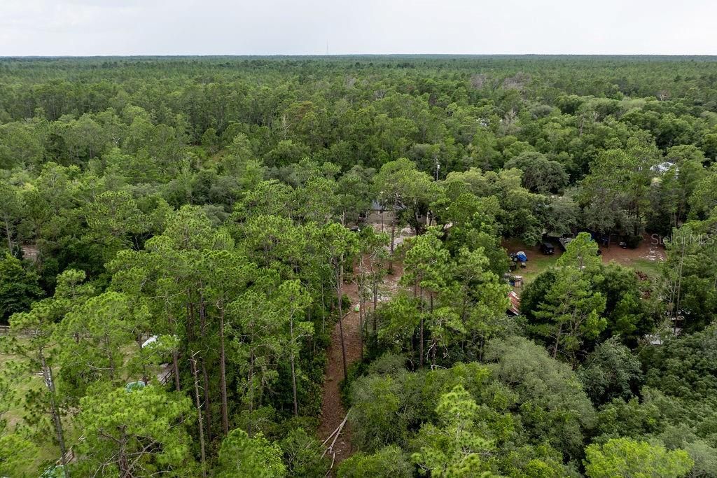 24821 Old Deer Road, Paisley, FL 32767 Photo