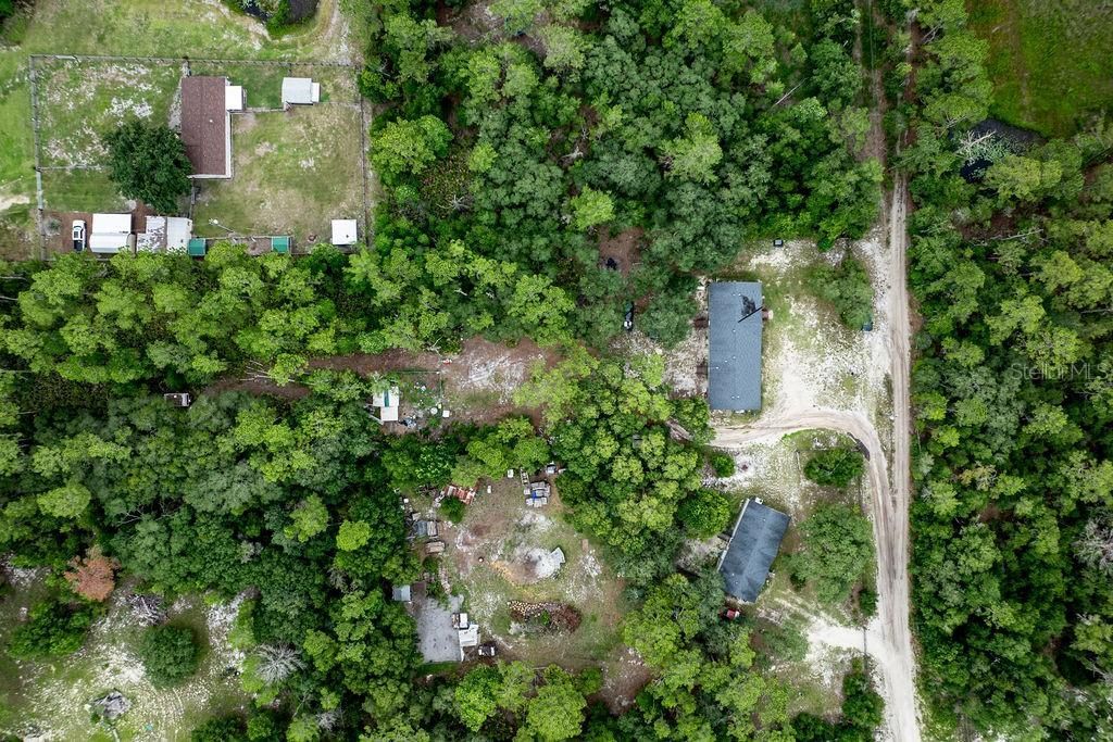 24821 Old Deer Road, Paisley, FL 32767 Photo
