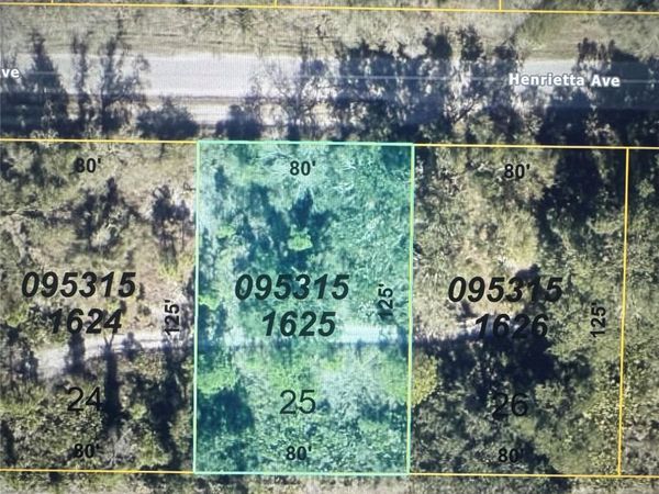 HENRIETTA AVENUE , NORTH PORT, FL 34291