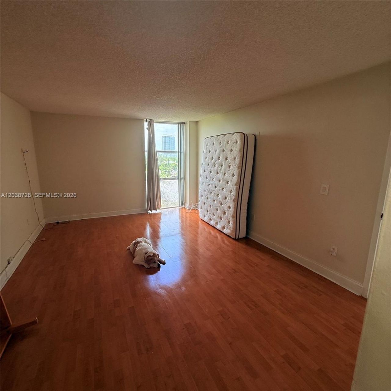 2350 NE 135th St, Unit 802, North Miami, FL 33181 Photo