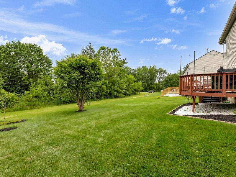 7975 Holderman Street, Lewis Center, OH 43035 Photo 37