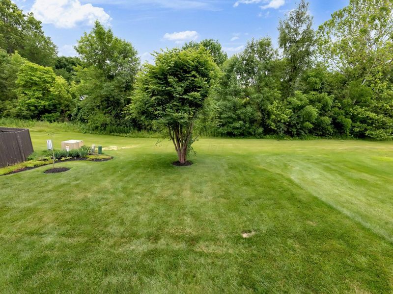 7975 Holderman Street, Lewis Center, OH 43035 Photo 38