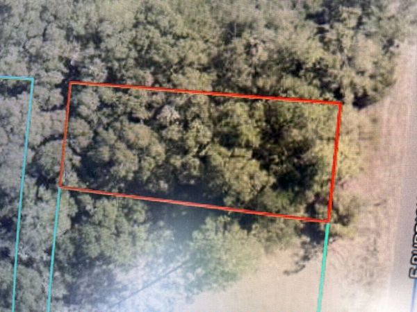 0 E Burdick Avenue, DeFuniak Springs, FL 32433