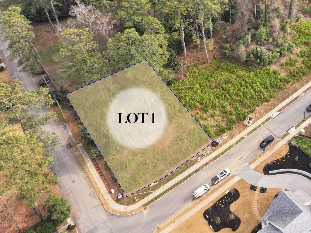 462 Emily Reed Lane, Atlanta, GA 30342 Main Photo