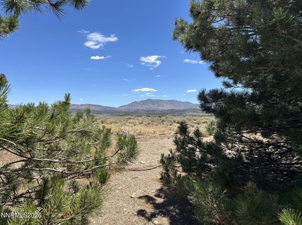 1515 Patrick Court, Gardnerville, NV 89410 Photo