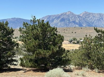 1515 Patrick Court, Gardnerville, NV 89410 Photo