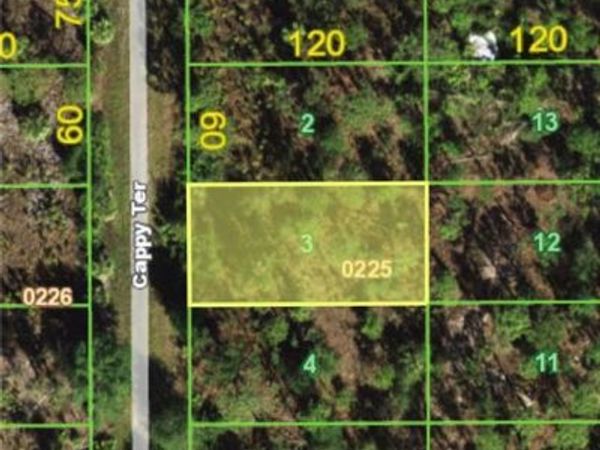 13358 Cappy TER , PUNTA GORDA, FL 33955