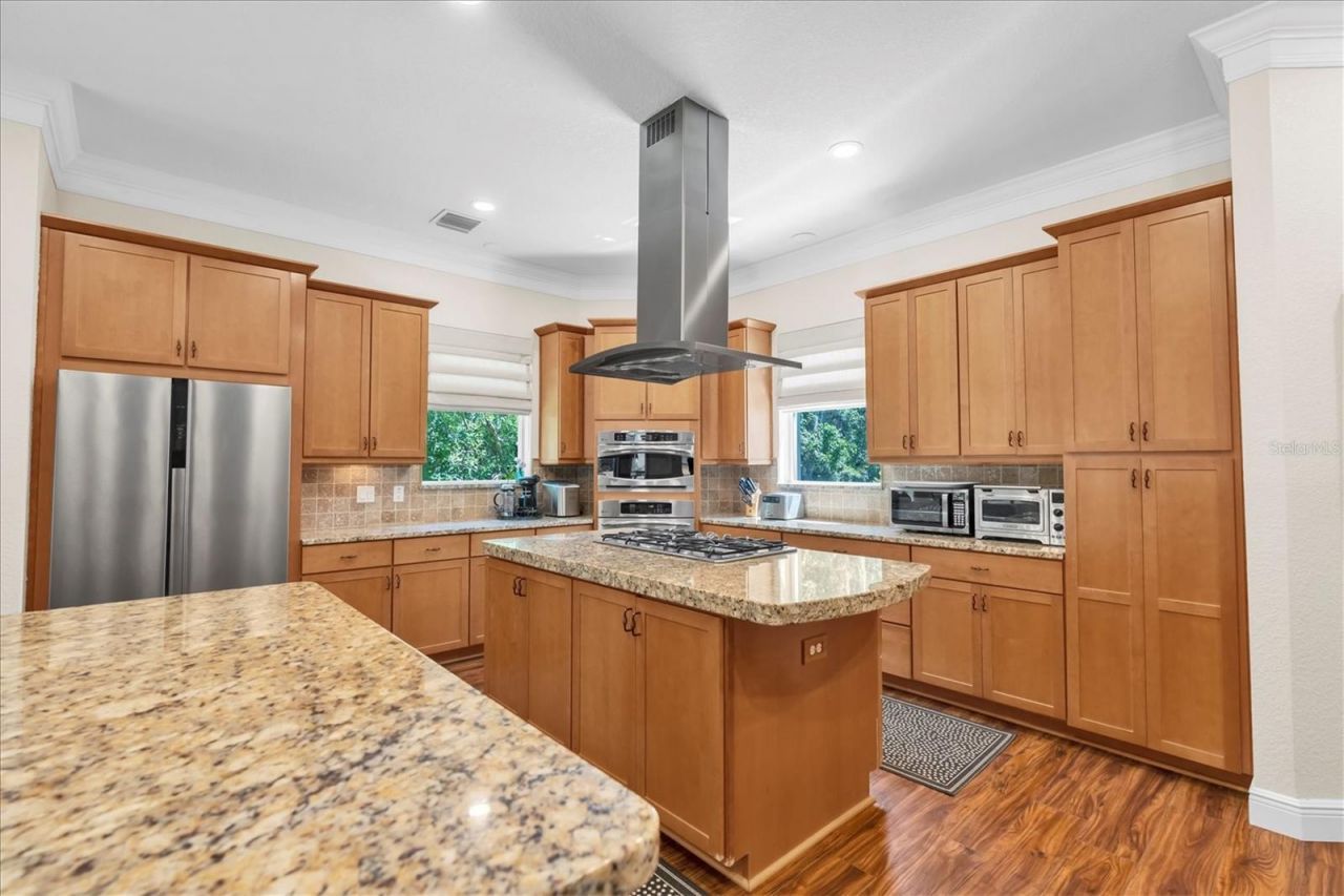 16301 Dunlindale Drive, Lithia, FL 33547 Photo