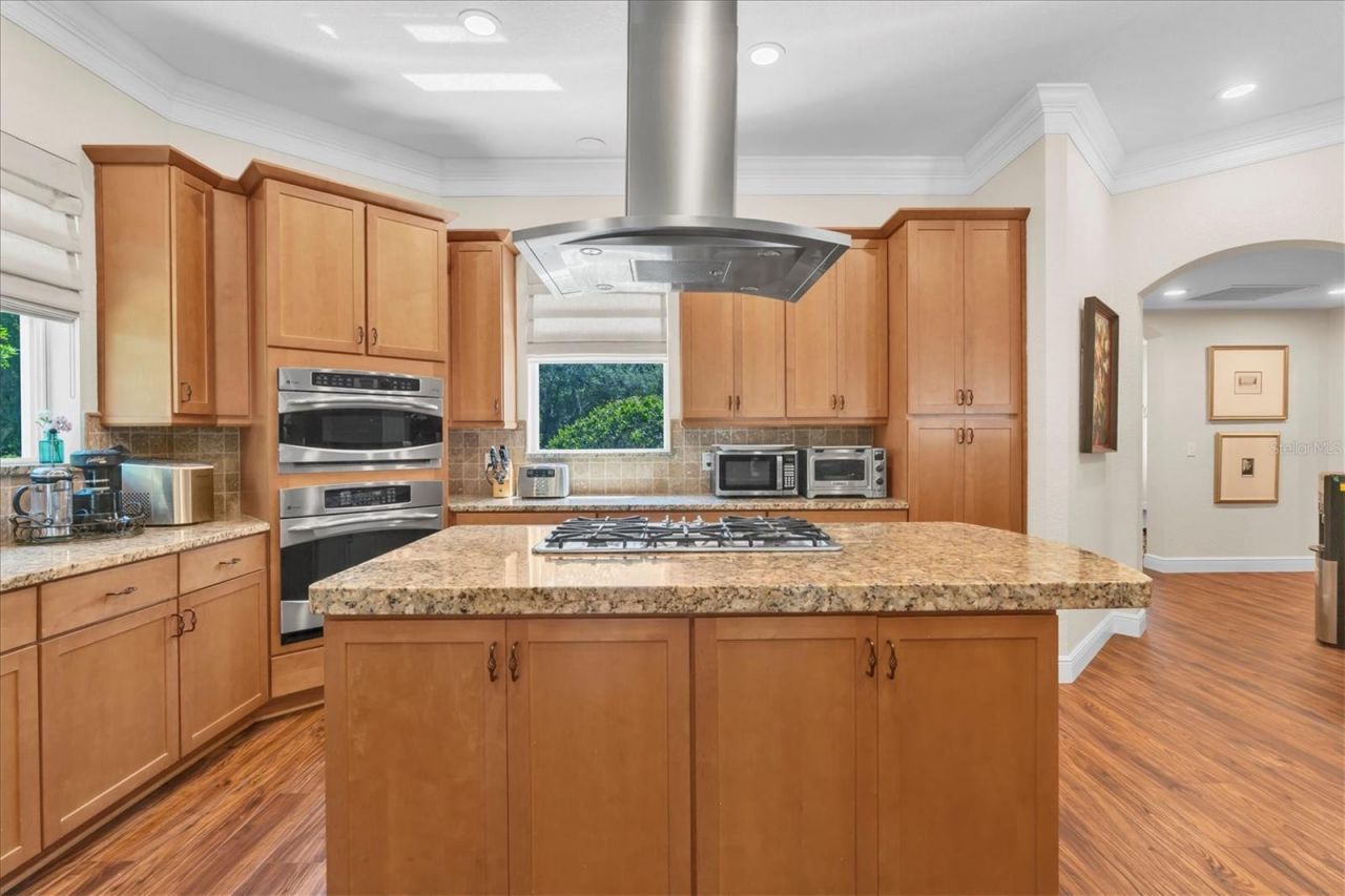 16301 Dunlindale Drive, Lithia, FL 33547 Photo