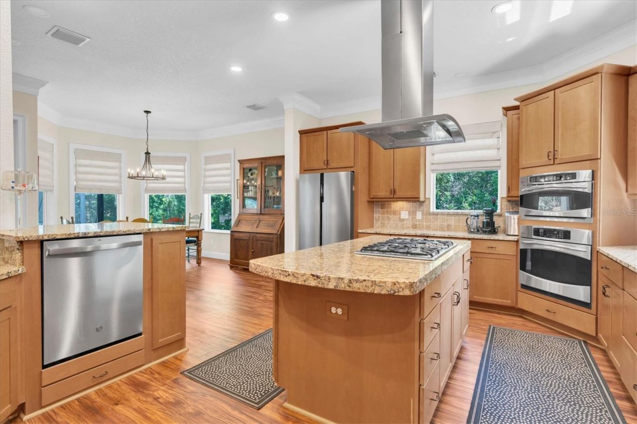16301 Dunlindale Drive, Lithia, FL 33547 Photo