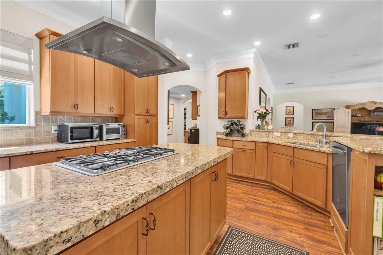 16301 Dunlindale Drive, Lithia, FL 33547 Photo