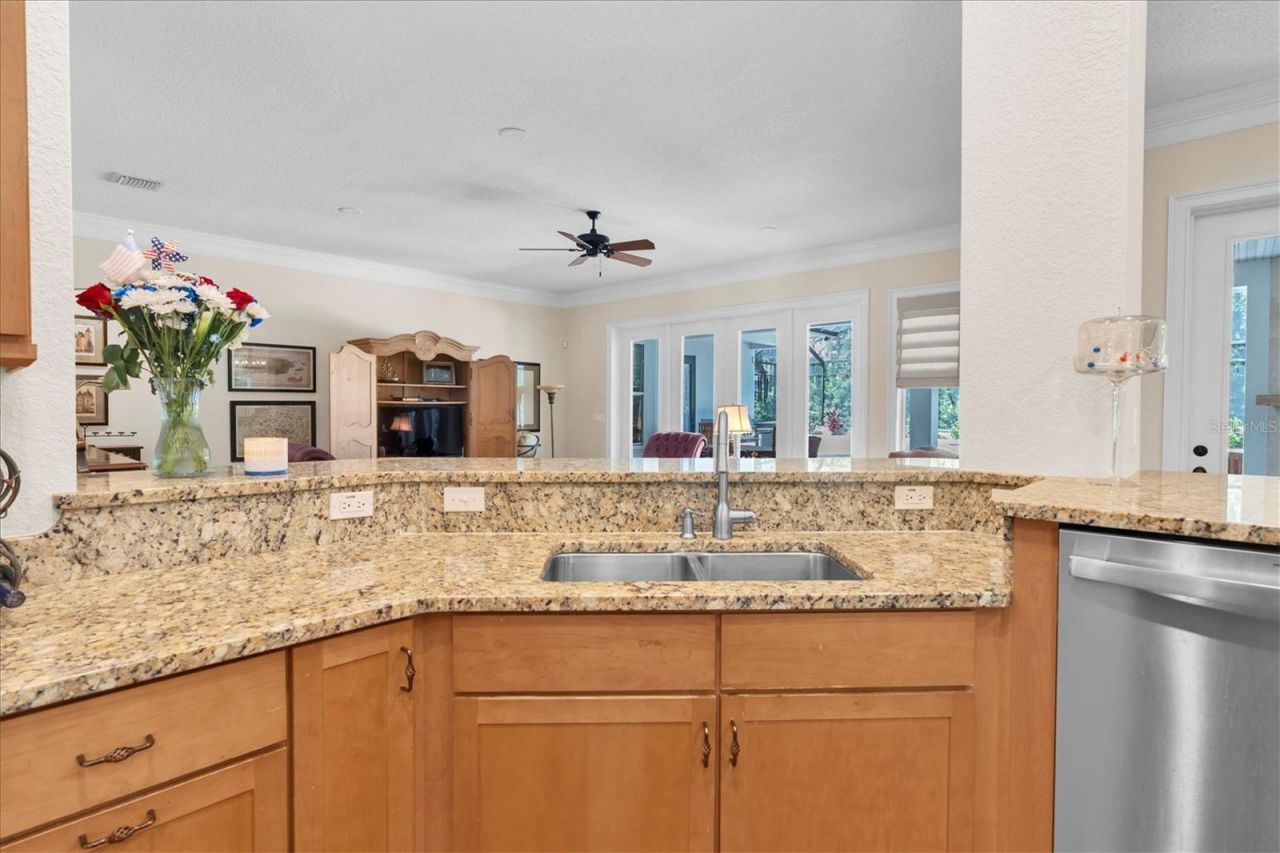 16301 Dunlindale Drive, Lithia, FL 33547 Photo