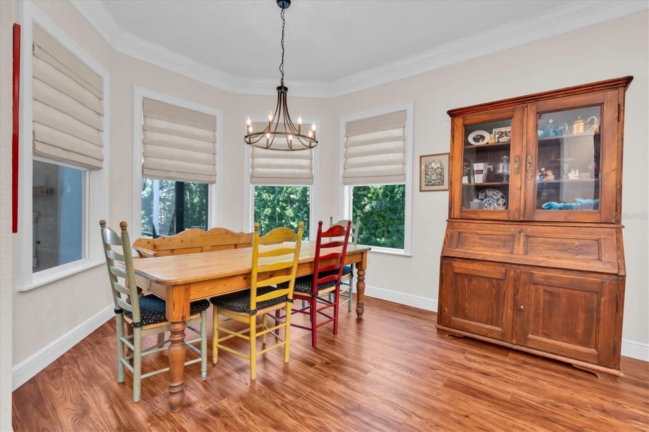 16301 Dunlindale Drive, Lithia, FL 33547 Photo