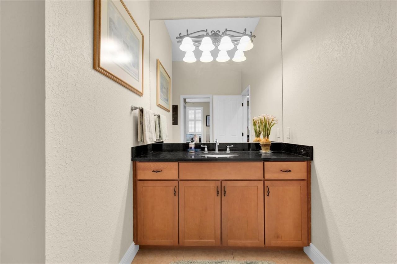 16301 Dunlindale Drive, Lithia, FL 33547 Photo