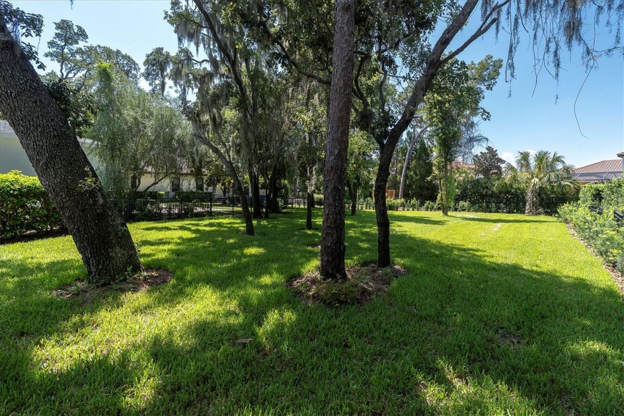 16301 Dunlindale Drive, Lithia, FL 33547 Photo
