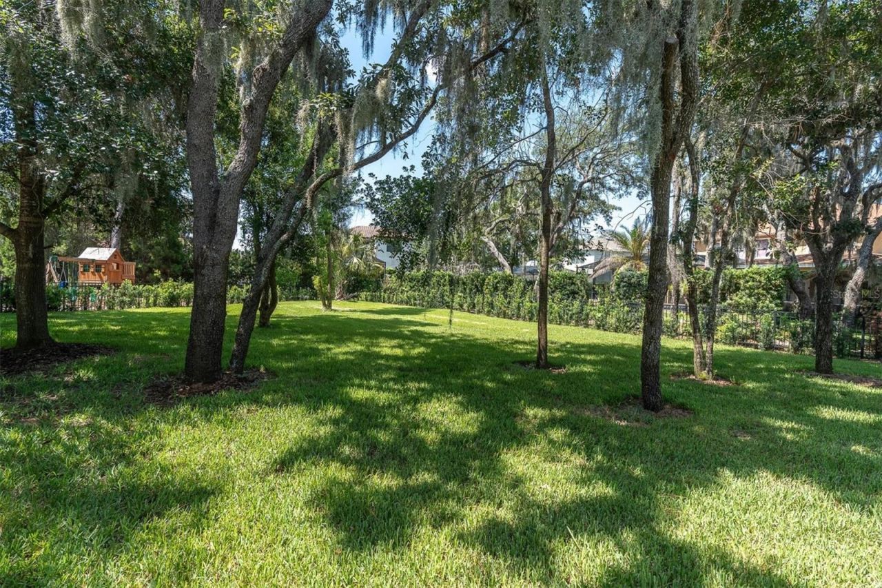 16301 Dunlindale Drive, Lithia, FL 33547 Photo