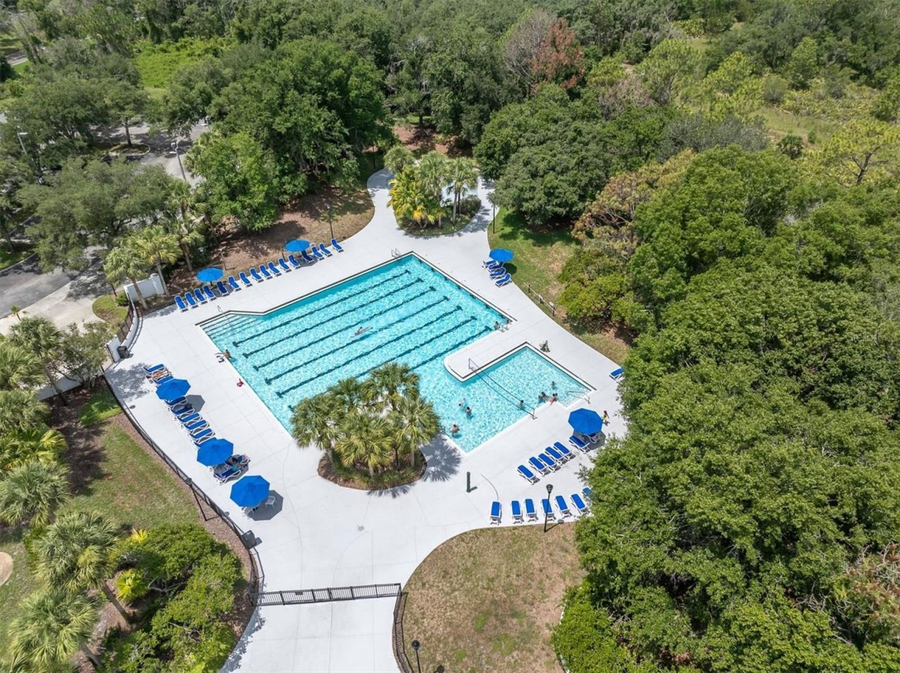 16301 Dunlindale Drive, Lithia, FL 33547 Photo