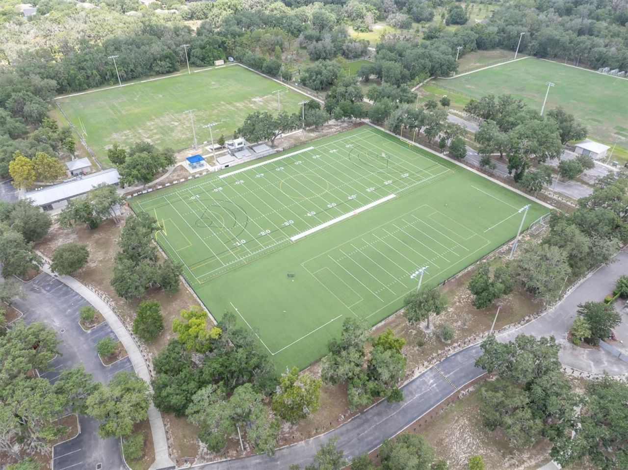 16301 Dunlindale Drive, Lithia, FL 33547 Photo