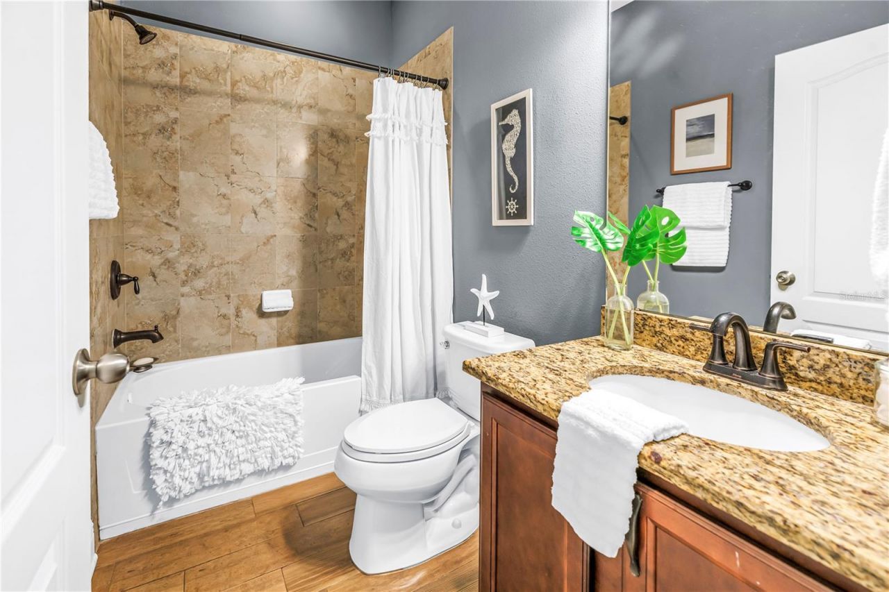 1133 14th Street N, Saint Petersburg, FL 33705 Photo