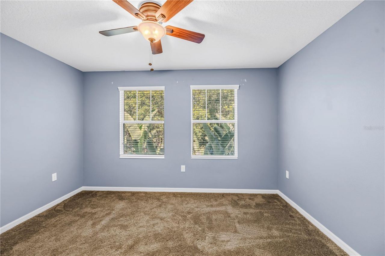 1133 14th Street N, Saint Petersburg, FL 33705 Photo