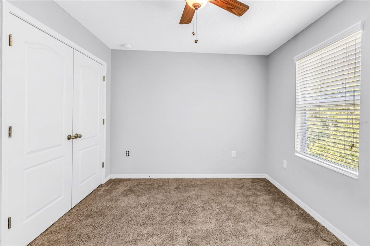1133 14th Street N, Saint Petersburg, FL 33705 Photo