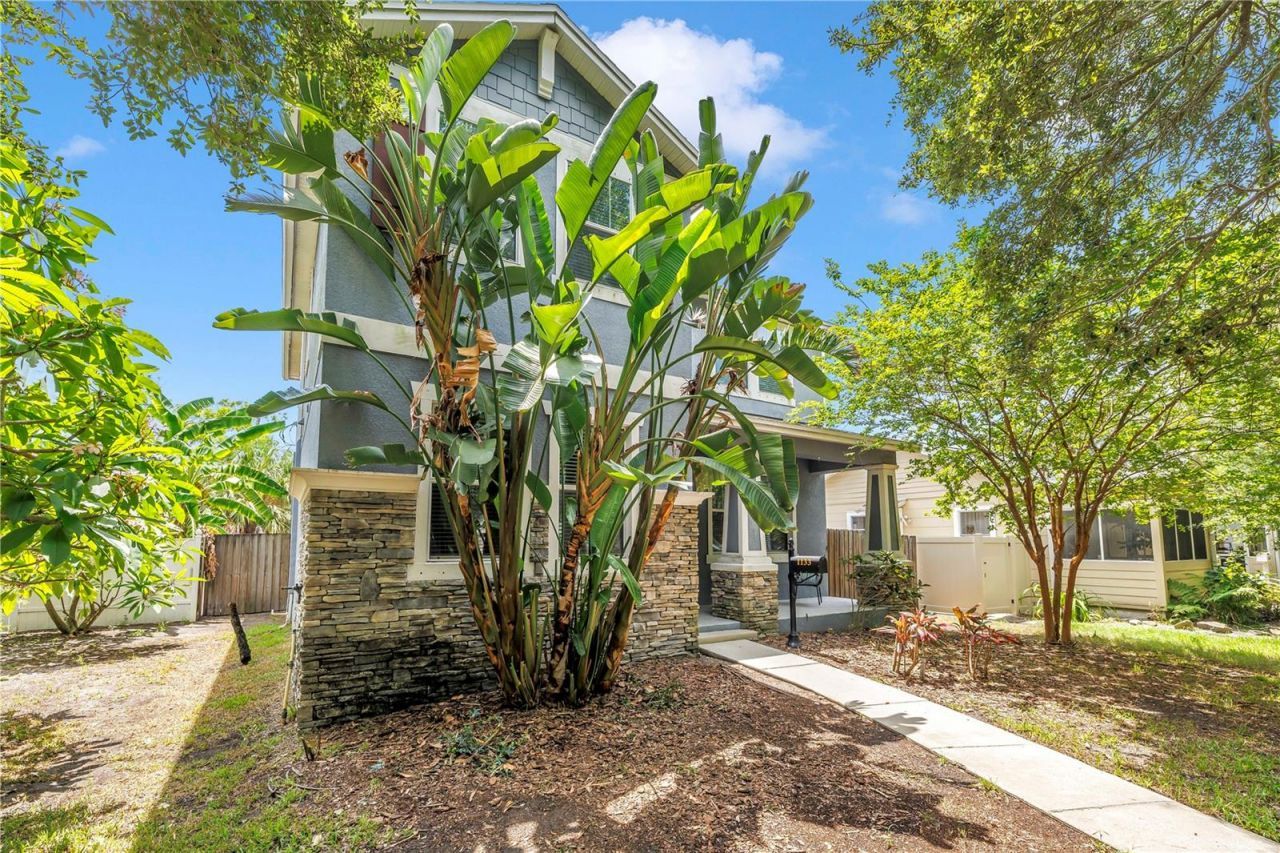 1133 14th Street N, Saint Petersburg, FL 33705 Photo