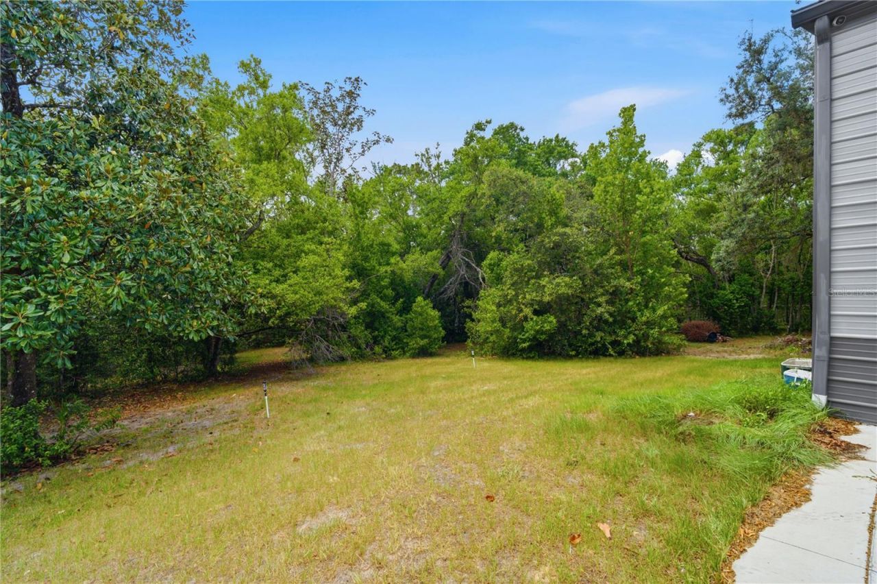 6111 Cartwrite Road, Spring Hill, FL 34609 Photo
