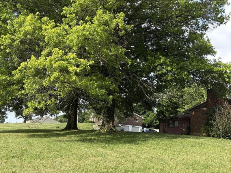 3489 US 62 E, Cynthiana, KY 41031 Photo 21