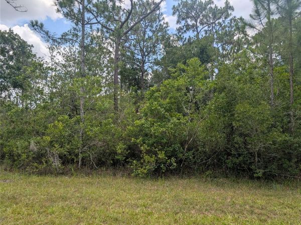 519 CAMELLIA DRIVE , INDIAN LAKE ESTATES, FL 33855