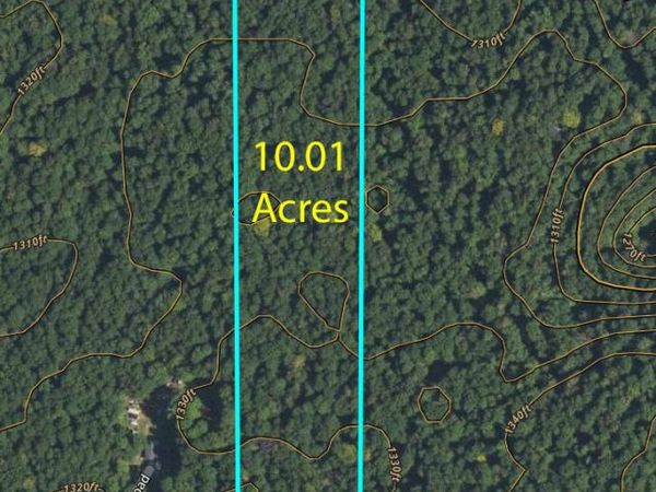 V/L 10.01A Binder Road, Elmira, MI 49730