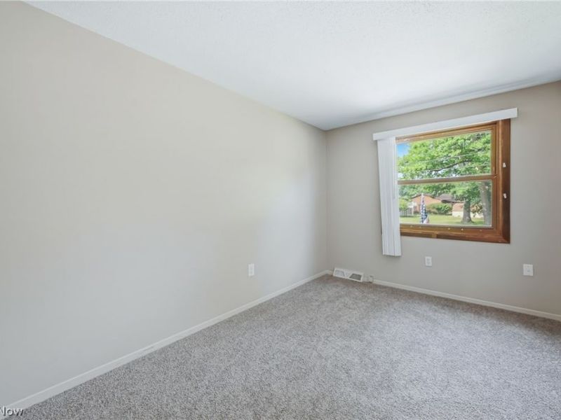 805 Trumbull Drive, Niles, OH 44446 Photo 16