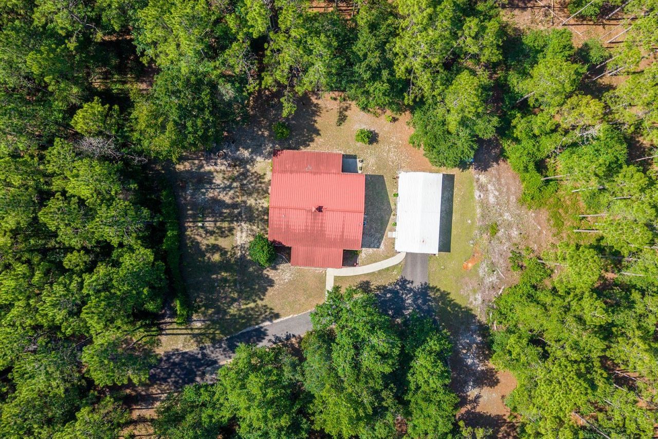 14590 NE 35th Avenue, Chiefland, FL 32626 Photo