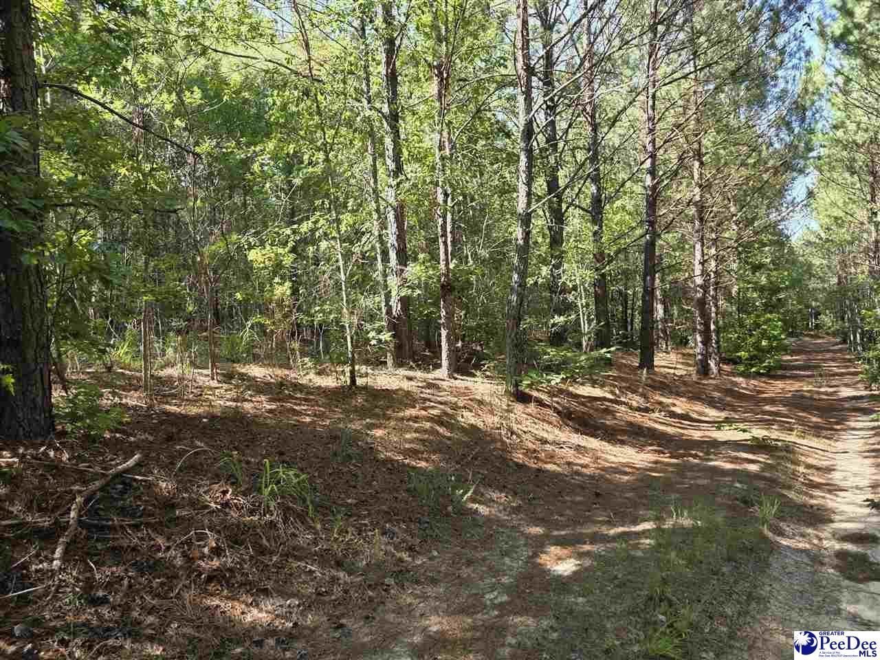 0000000 Black Creek Road Photo 11
