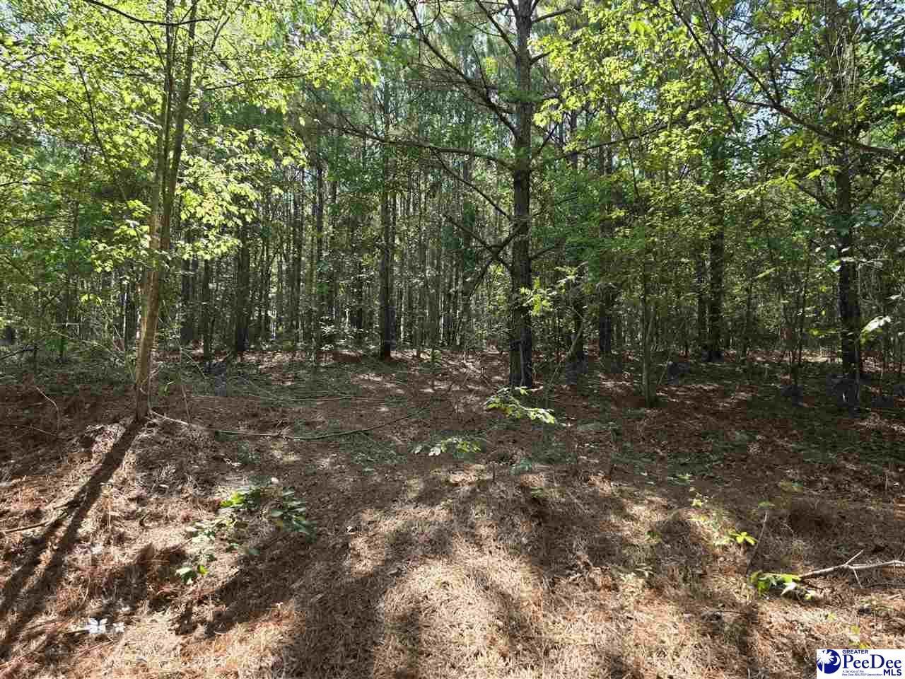0000000 Black Creek Road Photo 12