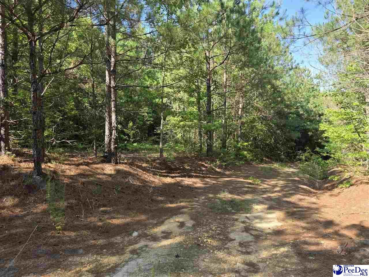 0000000 Black Creek Road Photo 13