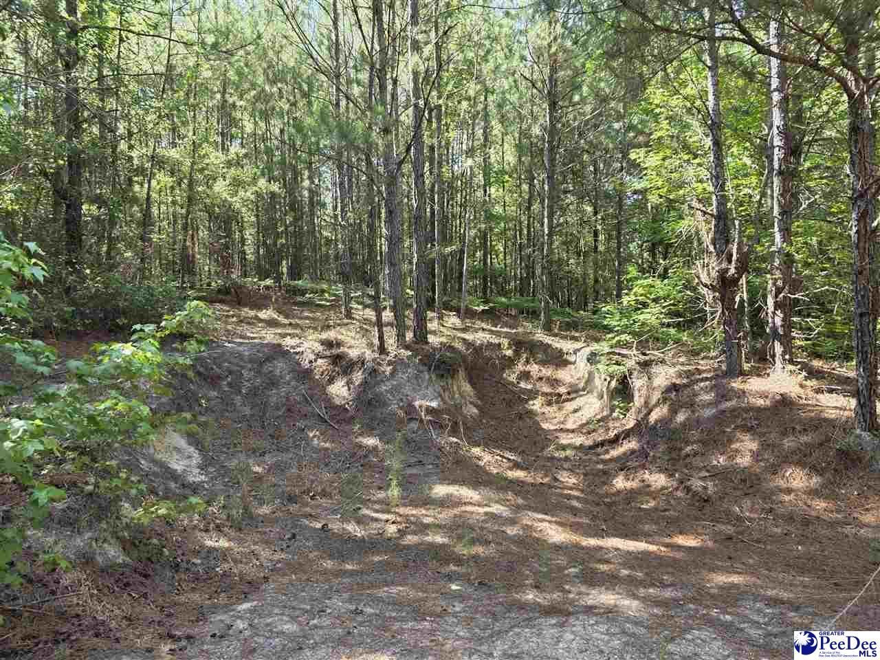 0000000 Black Creek Road Photo 14