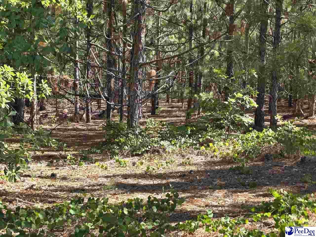 0000000 Black Creek Road Photo 4