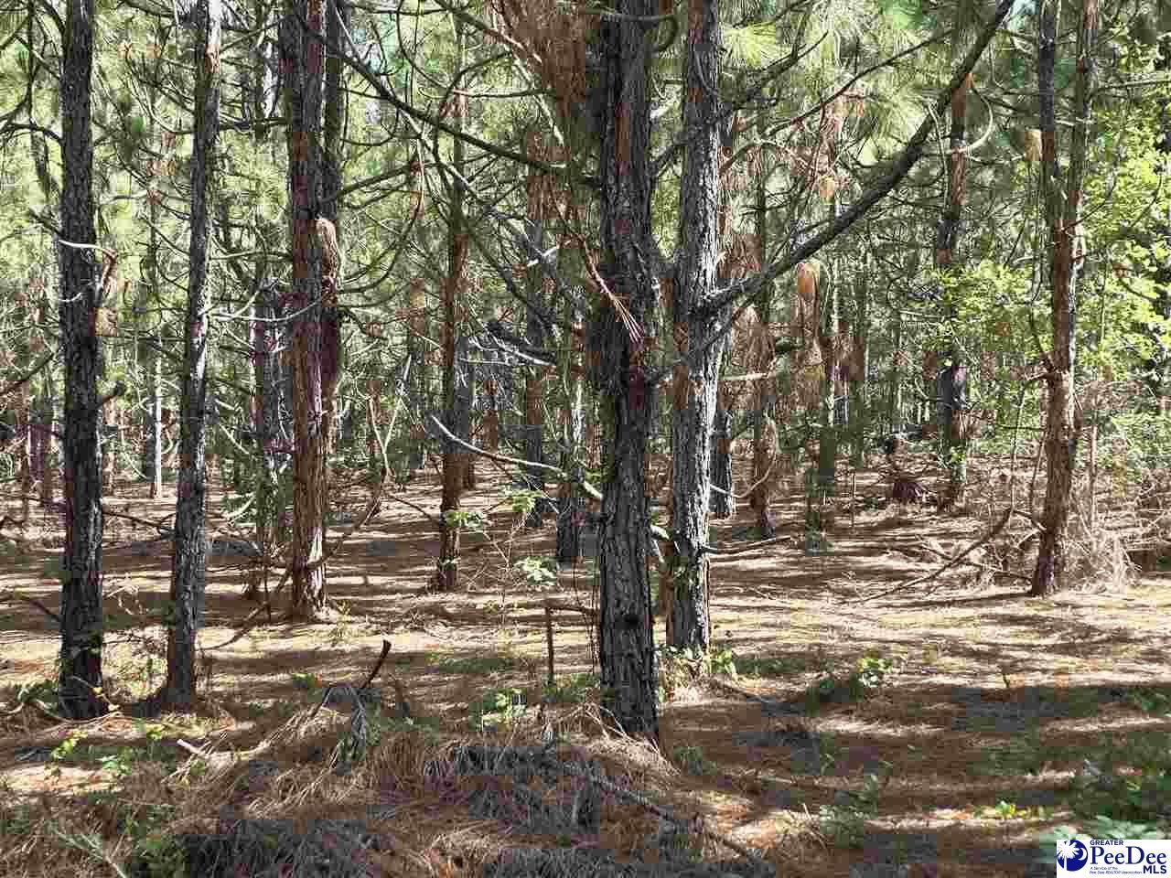 0000000 Black Creek Road Photo 5