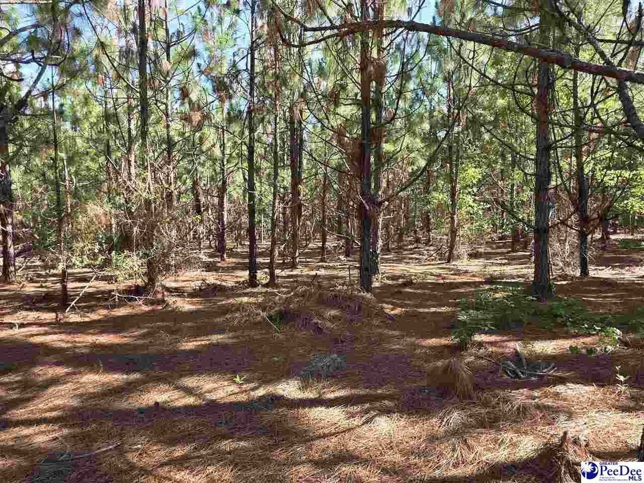 0000000 Black Creek Road Photo 6