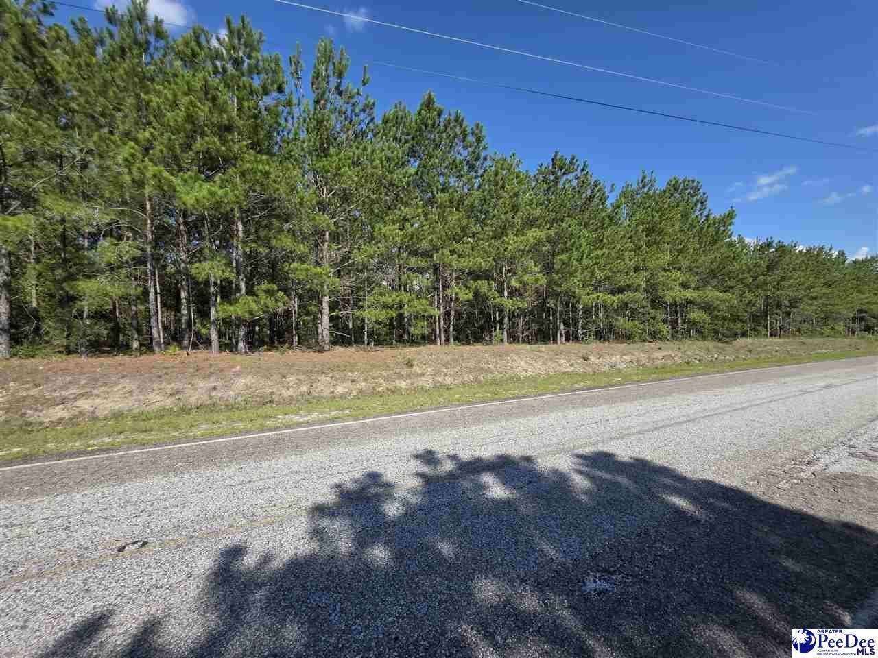 0000000 Black Creek Road Photo 7