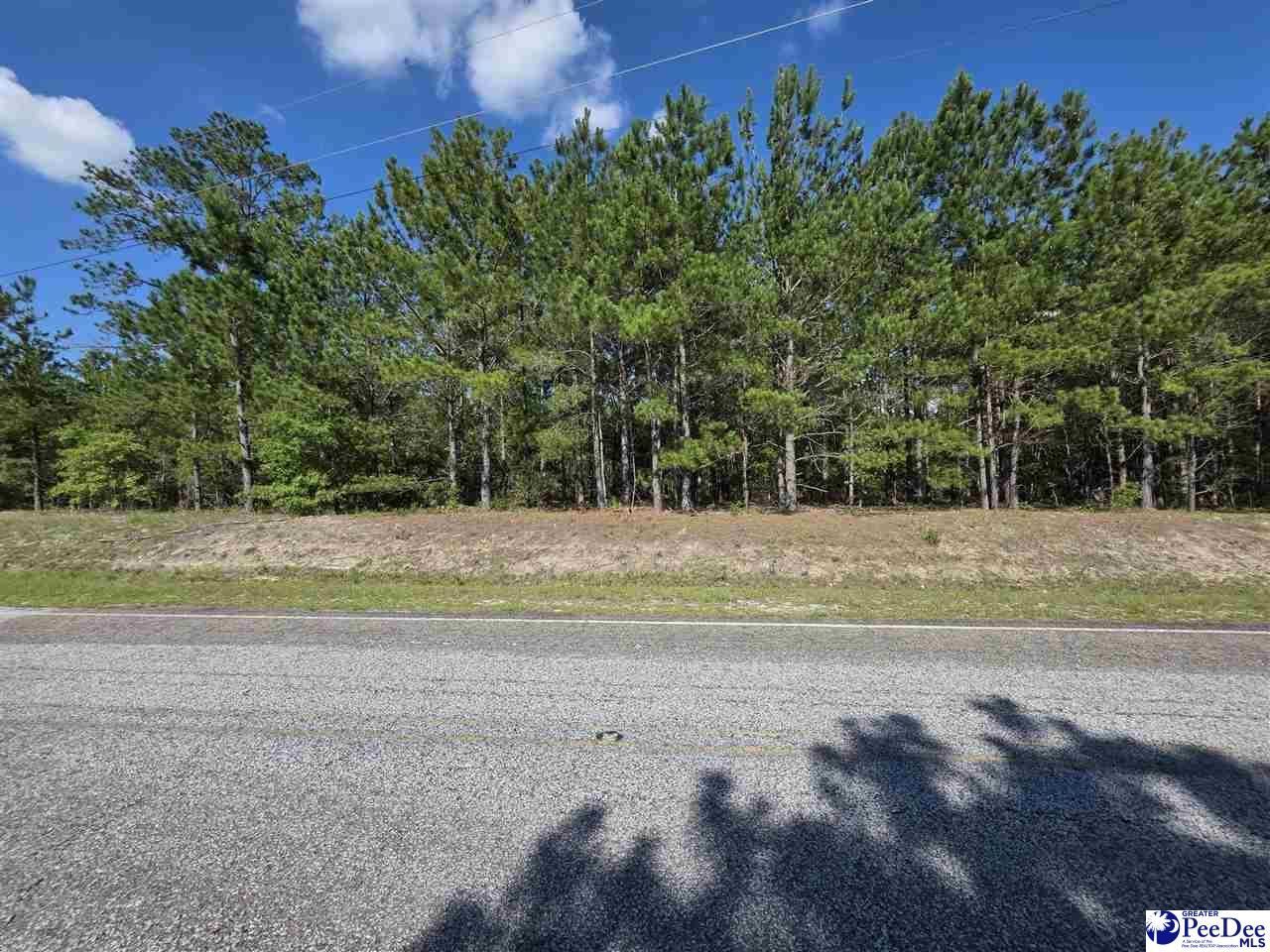 0000000 Black Creek Road Photo 8
