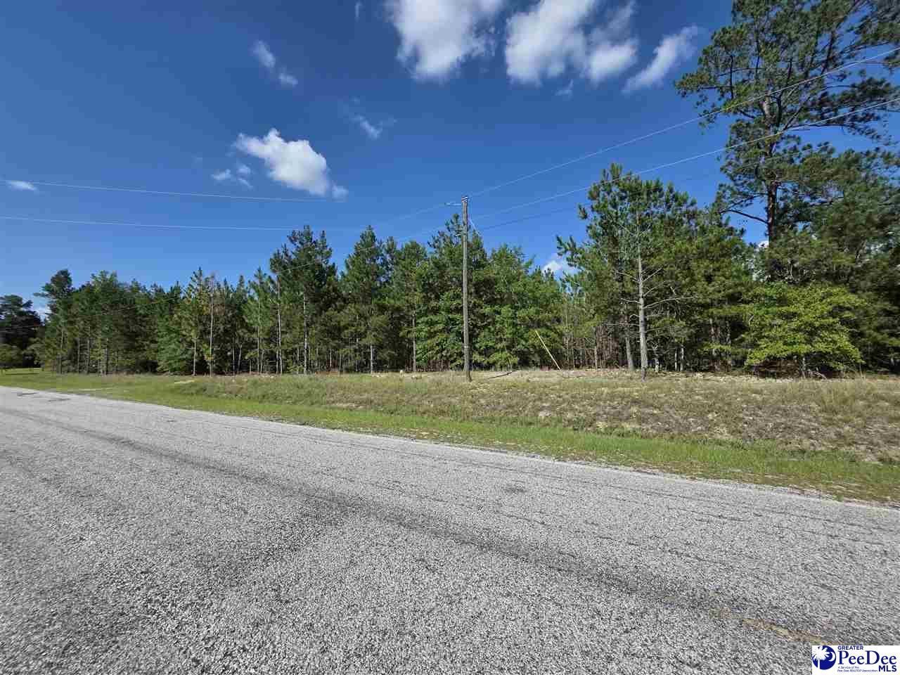 0000000 Black Creek Road Photo 9