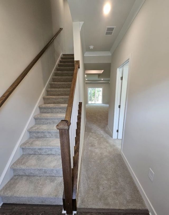 303 Golan Circle  Photo 10