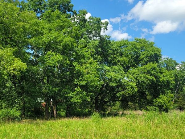 2 Clem Creek Rd , Chapel Hill, TN 37034