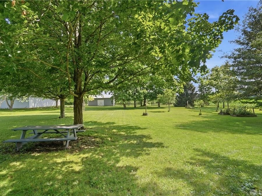 Property Image 60